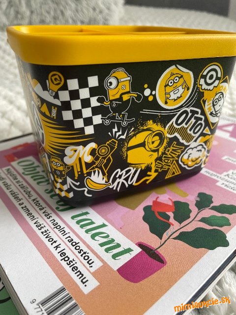 Boxík/organizér na perá, farbičky, alebo niečo iné, Mimoň