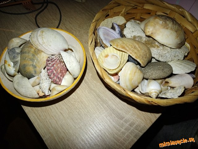 Rôzne mušle