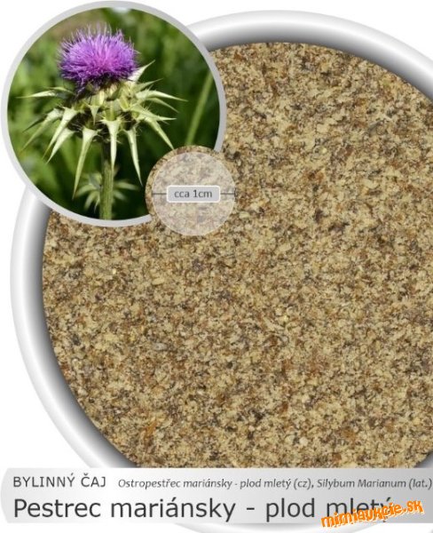 MLETÝ PESTREC MARIÁNSKY…1 kg…NA PEČEŇ