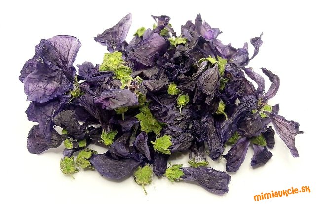 !!! VŠETKY AUKCIE OD 1€ !!!