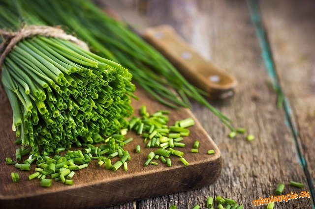 !!! VŠETKY AUKCIE OD 1€ !!!