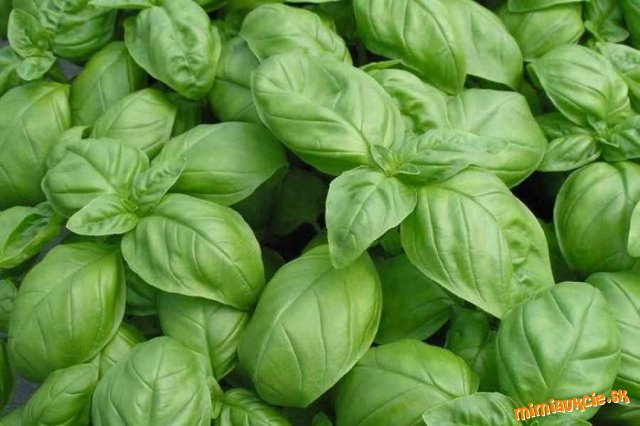 !!! VŠETKY AUKCIE OD 1€ !!!