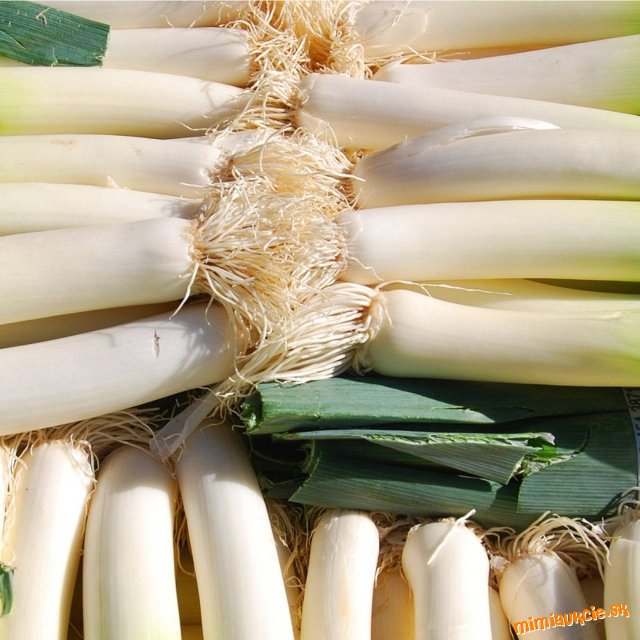 !!! VŠETKY AUKCIE OD 1€ !!!