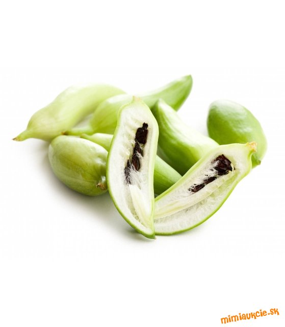 Ačokča