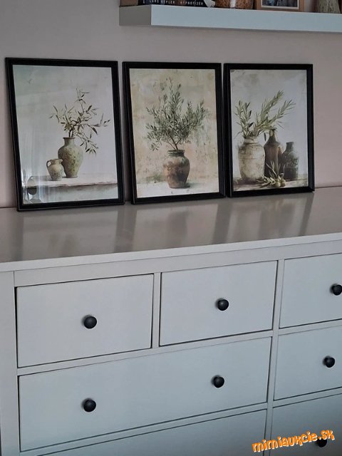 Nádherné vintage obrazy s motívom olivovej vetvičky - set 3 ks