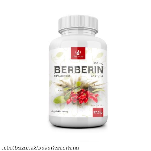 BERBERÍN prírodné antibiotikum,antivirotikum,antimykotikum ... pomáha aj pre borelii !